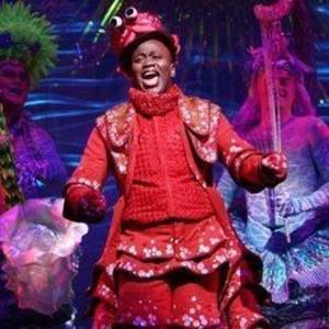 Meet your Posher, Tamara